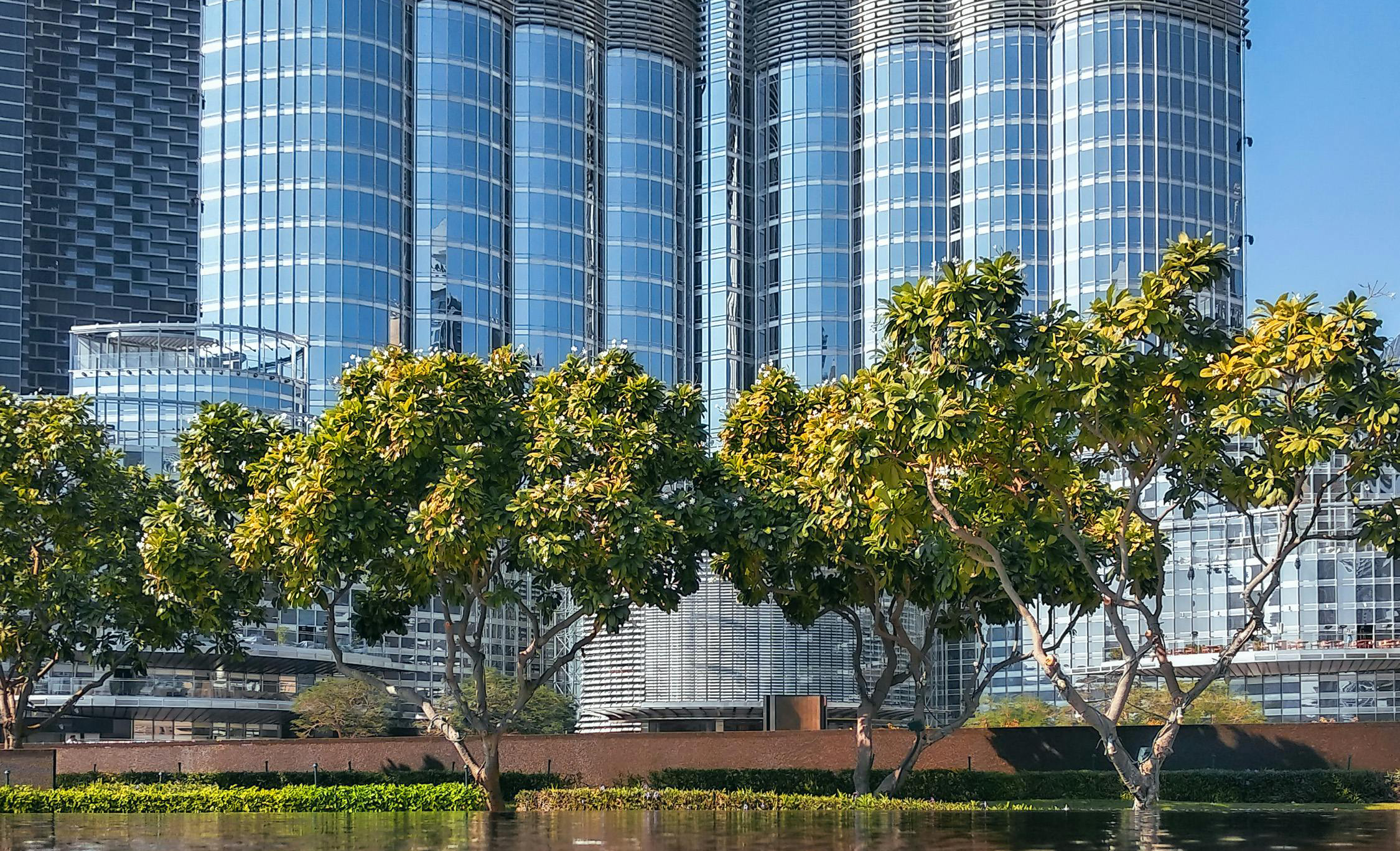 德石羿輔導(dǎo)某集團(tuán)尋找新航道，提升該集團(tuán)的組織能力，助力集團(tuán)轉(zhuǎn)型升級(jí)